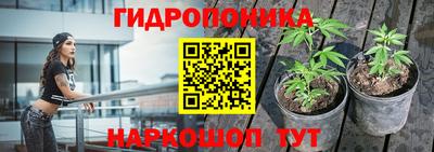 Альфа ПВП Можга