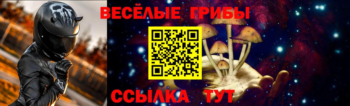 Аргун  Псилоцибиновые грибы мухоморы  Вход с VPN  Галлюциногенные грибы ЛСД 